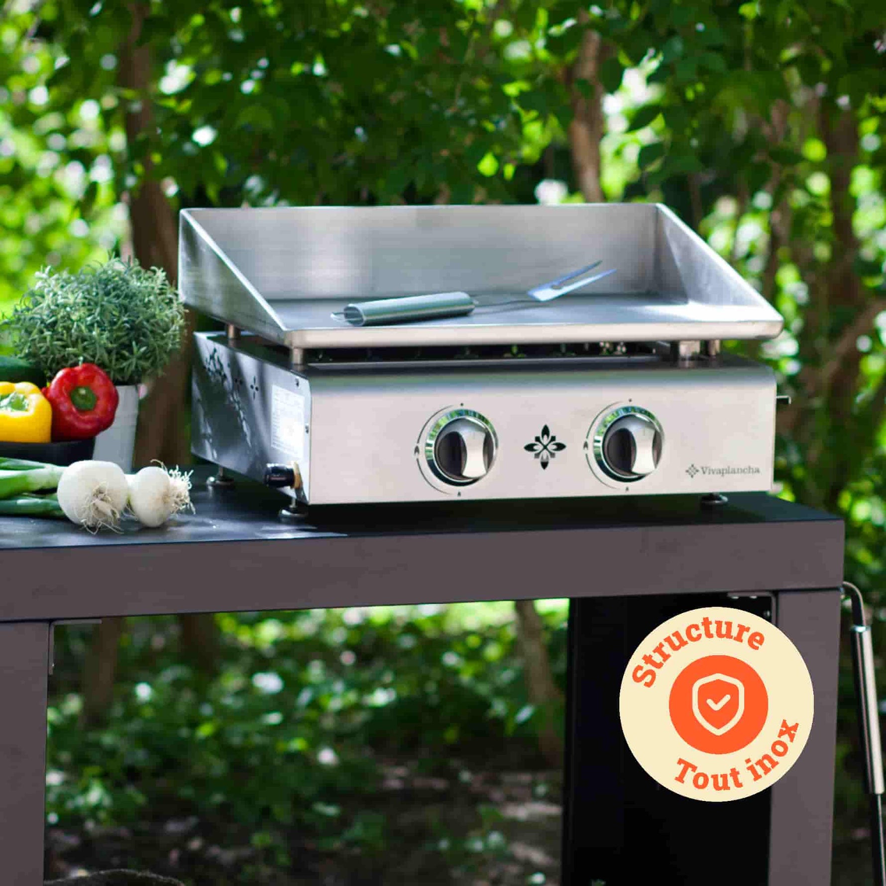 Plancha Vivaplancha em inox colocada sobre um carrinho de exterior, acompanhada de legumes frescos, com um crachá “Estrutura totalmente em inox” no canto inferior direito.